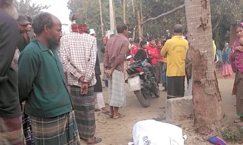 সরিষাবাড়ীতে মোটর সাইকেলের নিয়ন্ত্রণ হারিয়ে একজনের মৃত্যু 