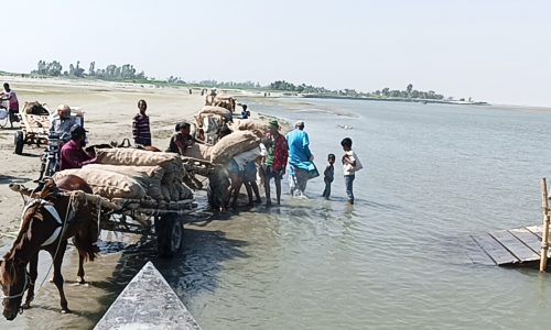 উলিপুরে তিস্তার চরাঞ্চলে কৃষিপণ্য পরিবহনে একমাত্র ভরসা ঘোড়ার গাড়ি