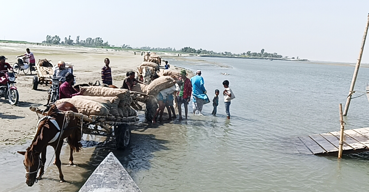 উলিপুরে তিস্তার চরাঞ্চলে কৃষিপণ্য পরিবহনে একমাত্র ভরসা ঘোড়ার গাড়ি