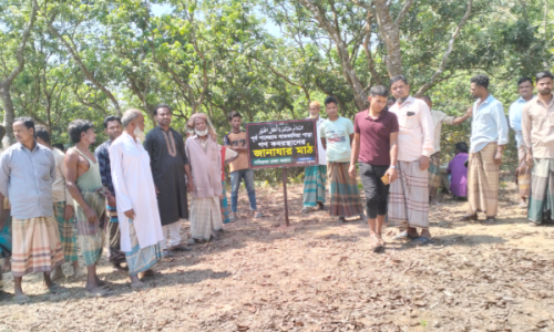 বাঁশখালীতে প্রাচীন কবরস্থান বন্দোবস্তি করে দখলের অভিযোগ