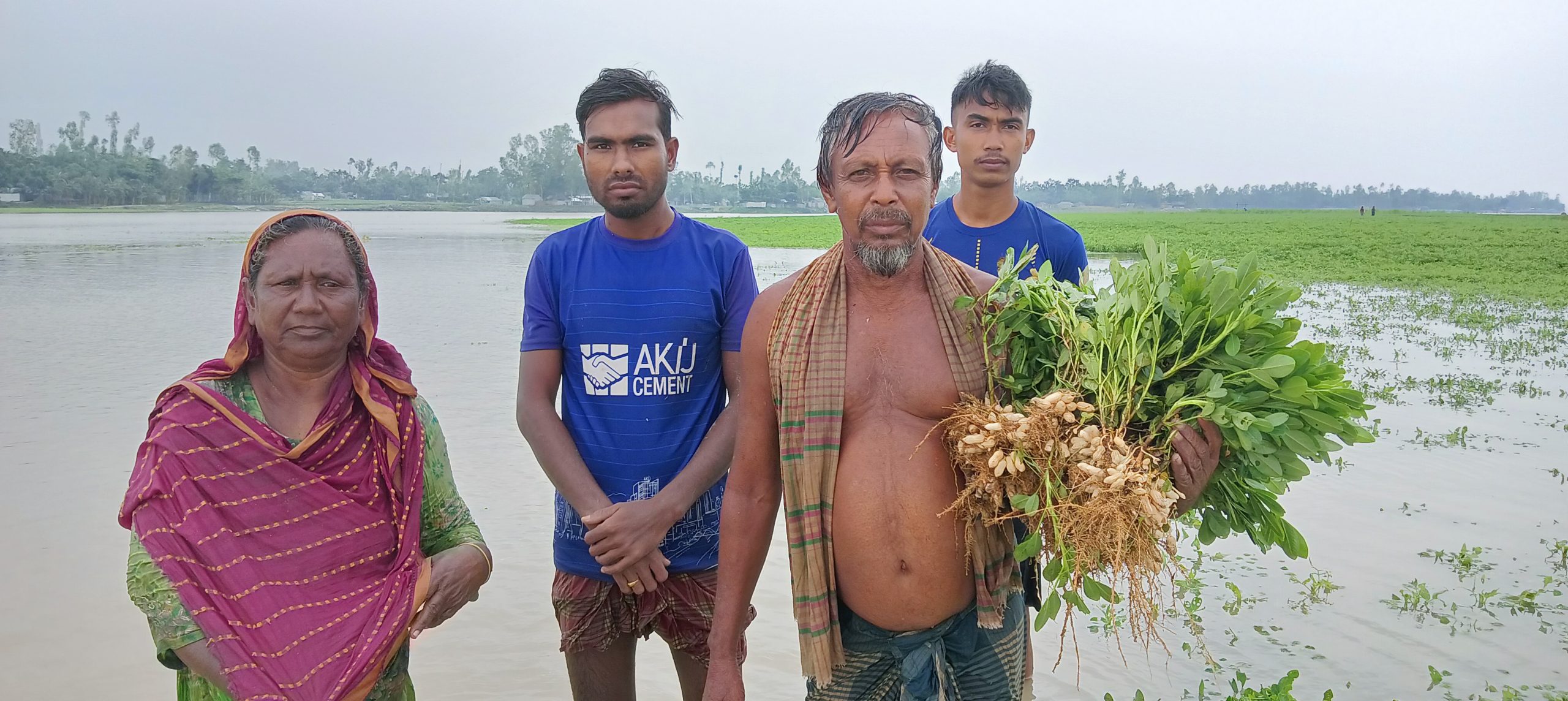 উলিপুরে তিস্তার চরে বাদাম চাষিদের স্বপ্ন পানির নিচে, তিস্তা মহাপরিকল্পনা বাস্তবায়নের জোর দাবী 