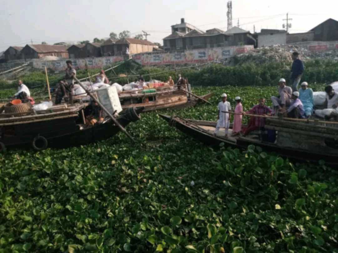 সেতুর অভাবে চরম দুর্ভোগে নরসিংদী চরাঞ্চলের অর্ধলক্ষাধিক মানুষ
