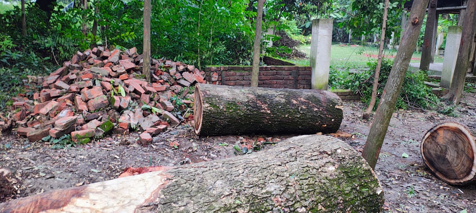 নরসিংদীতে মুক্তিযোদ্ধার কবরস্থানের প্রাচীর ভেঙে জমি দখলের অভিযোগ 
