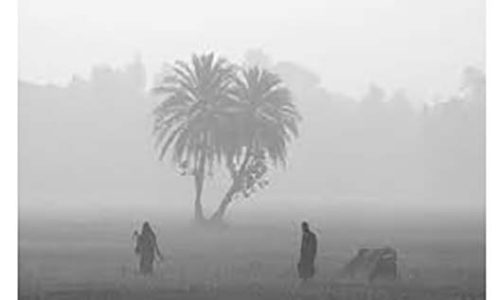 সারাদেশে শুষ্ক আবহাওয়া, ভোরে কুয়াশার সম্ভাবনা