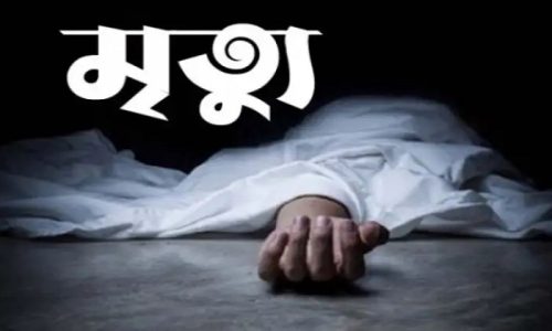 মিরসরাইয়ের ভাতিজার ইটের আঘাতে চাচার মৃত্যু