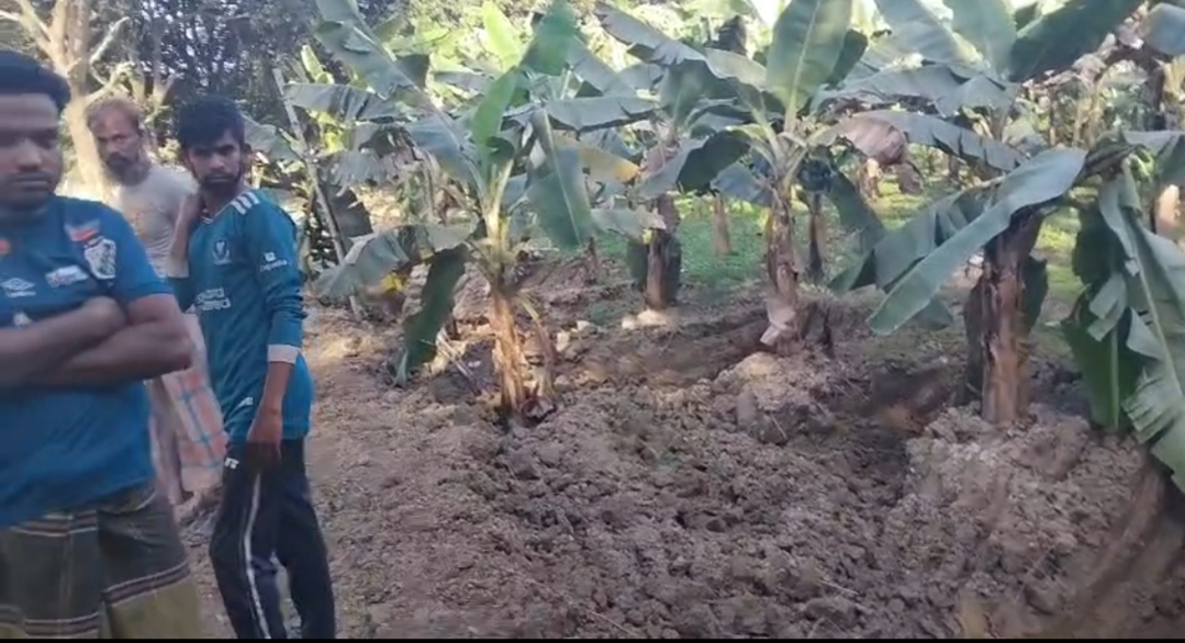 আদালতের নিষেধাজ্ঞা অমান্য করে প্রবাসীর বাড়ি ভাঙচুর