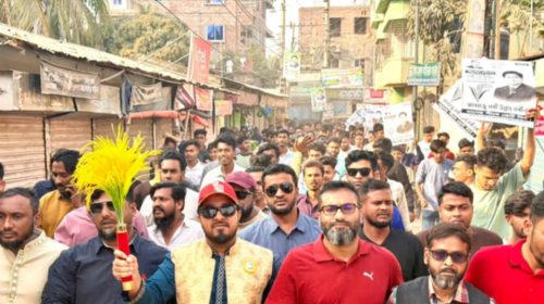 ডেমরার বড়ভাঙা হয়ে বিভিন্ন ওয়ার্ডে ধানের শীষের পক্ষে গণসংযোগ