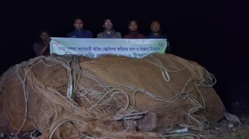 লালমোহনে ৮লাখ টাকার অবৈধ জাল জব্দ করে আগুনে পুড়িয়ে বিনষ্ট
