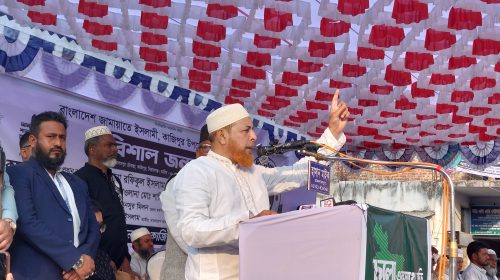 ক্ষমতাই না থেকেই আ'লীগের চেয়ে চাঁদাবাজিতে এগিয়ে বিএনপি: রফিকুল ইসলাম খান