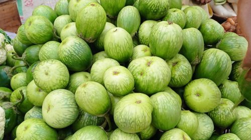 কয়েকদিনের ব্যবধানেই কাজিপুরে বেগুন-লেবুর ‘তেলেসমাতি’