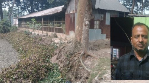 কটিয়াদীতে আওয়ামী লীগ নেতার পুকুরে বিলীন হয়ে যাচ্ছে বিএনপি কর্মীর পোল্ট্রি খামার