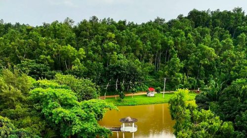 স্বপ্ন দেখাচ্ছে লাউচাপড়া: নেপথ্যে পর্যটন প্রতিমন্ত্রী মিল্লাত