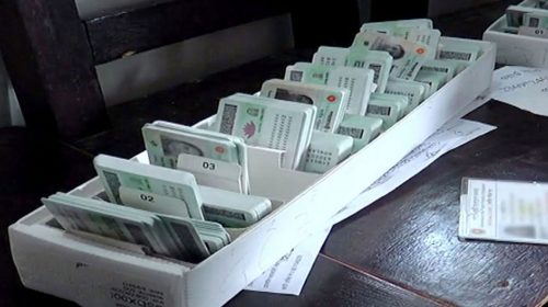 ১৬ বছর বয়সীরাও পাবেন এনআইডি, ইসির নতুন নির্দেশনা