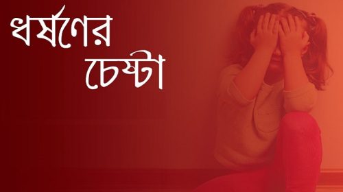 মাদারীপুরে ১১বছরের শিশু ধর্ষণের চেষ্টা মামলায় যুবক কারাগারে