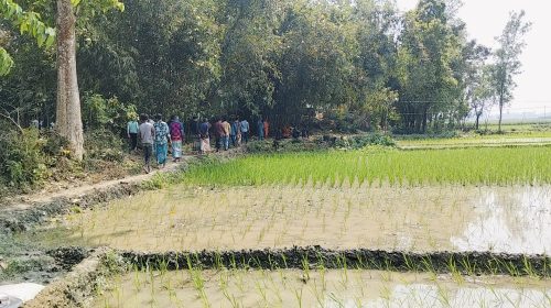 সরিষাবাড়ীতে জমি সংক্রান্ত বিরোধে ফসল নষ্ট ও প্রাণনাশের হুমকির অভিযোগ