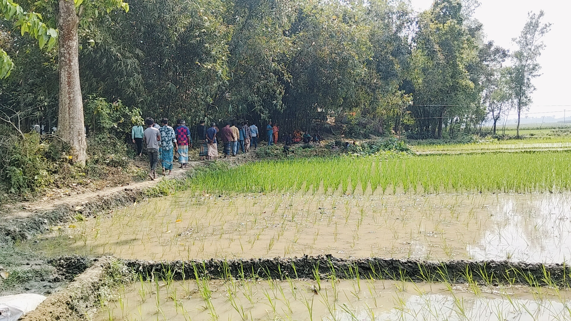 সরিষাবাড়ীতে জমি সংক্রান্ত বিরোধে ফসল নষ্ট ও প্রাণনাশের হুমকির অভিযোগ