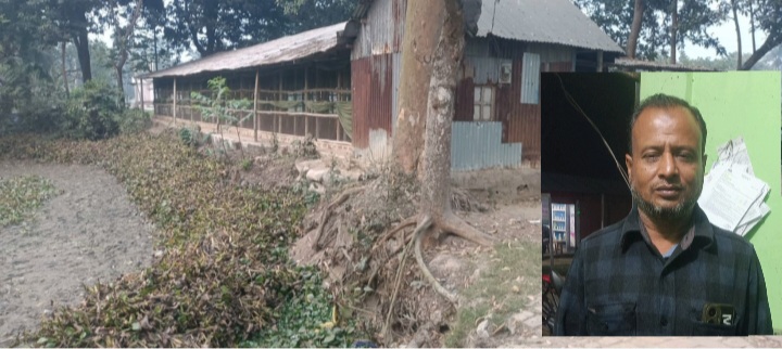 কটিয়াদীতে আওয়ামী লীগ নেতার পুকুরে বিলীন হয়ে যাচ্ছে বিএনপি কর্মীর পোল্ট্রি খামার