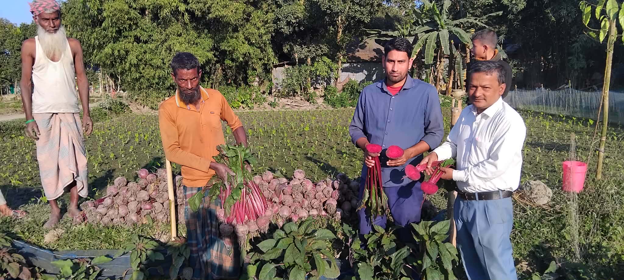 ভিনদেশী সবজি চাষে কৃষক আজিজুলের বাজিমাত!