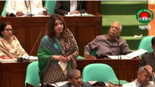 দেশে বর্তমানে কোনো জ্বালানি সংকট নেই : সংসদে পররাষ্ট্র প্রতিমন্ত্রী