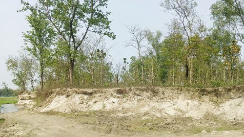 চিলাহাটিতে বন বিভাগের জমি কেটে চলছে অবৈধ বালু উত্তোলন, নেই প্রশাসনের কার্যকর তৎপরতা