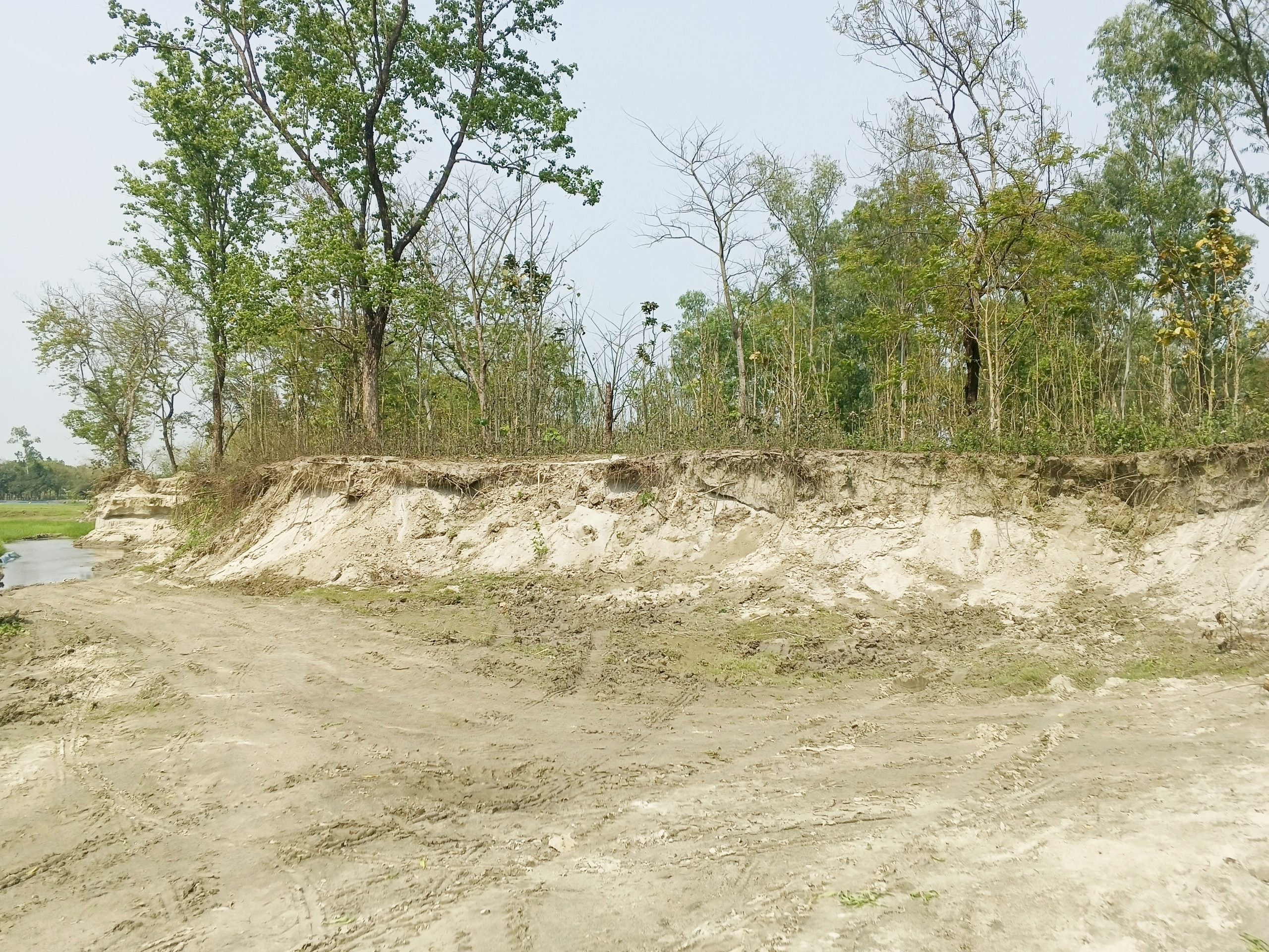 চিলাহাটিতে বন বিভাগের জমি কেটে চলছে অবৈধ বালু উত্তোলন, নেই প্রশাসনের কার্যকর তৎপরতা