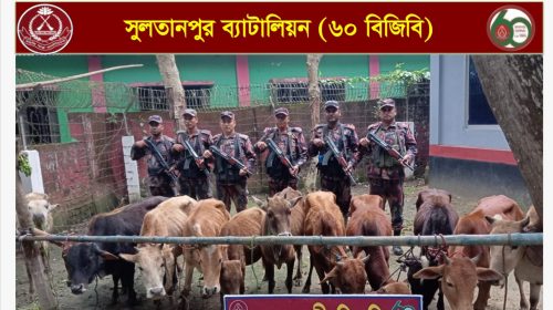 ব্রাহ্মণবাড়িয়া-কুমিল্লা সীমান্তে বিজিবির অভিযান: কোটি টাকার চোরাচালান মালামাল জব্দ