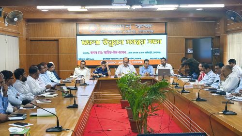 গোপালগঞ্জে জেলা উন্নয়ন সমন্বয় কমিটির মাসিক সভা অনুষ্ঠিত