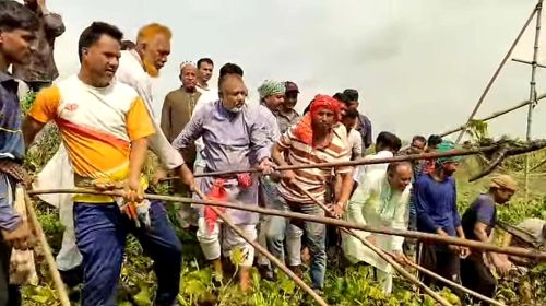 খাল বাঁচলে কৃষক বাঁচবে__ কোটালীপাড়ায় নিজ হাতে খালের কচুরিপানা পরিষ্কার করলেন এমপি এস এম জিলানী