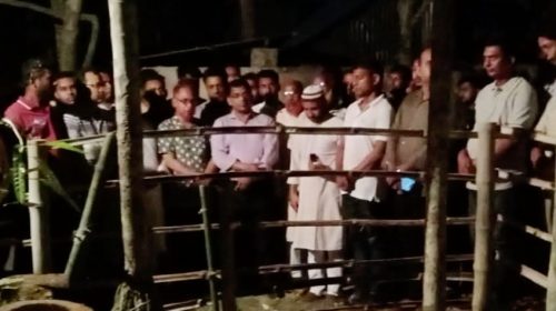 একজন মায়ের শূন্যতা কখনো পূরণ হওয়ার নয় - সেলিমুজ্জামান সেলিম এমপি