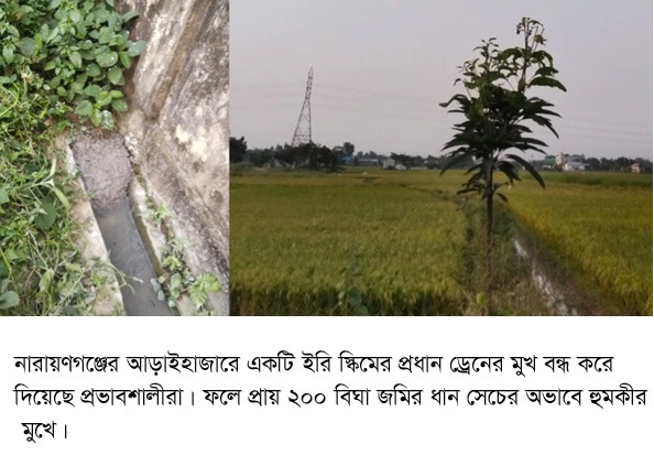 আড়াইহাজারে ইরি স্কিমের পানির ড্রেন বন্ধ করে দিয়েছে প্রভাবশালীরা, ২০০ বিঘা জমির সেচ বন্ধ!