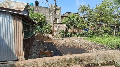 সিরাজদিখান বাজারে গরু-মুরগি-মাছ বর্জ্যের দুর্গন্ধে অতিষ্ঠ এলাকাবাসী