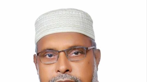 চার বছর ৩ মাস পর গৌরীপুরে লাঙ্গল প্রতীকের প্রার্থীকে বিজয়ী ঘোষণা