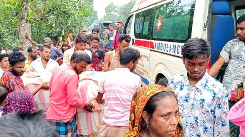 মাছবাহী ট্রাকের ধাক্কায় অটোবাইক চালক নিহত