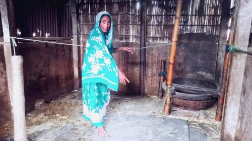 গৌরীপুরে বেড়েছে গরু চুরি , আতঙ্কে এলাকাবাসী