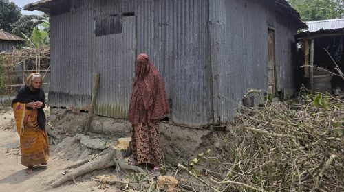 ধুনটে প্রতিপক্ষে বিরুদ্ধে শিক্ষকের বসতবাড়ির গাছ কাটার অভিযোগ