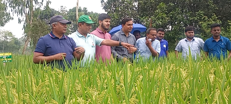 ফুলবাড়ীতে প্রাণ বঙ্গ মিলার্সের গবেষণা কার্যক্রম পরিদর্শনে জেলা বীজ প্রত্যয়ন অফিসার
