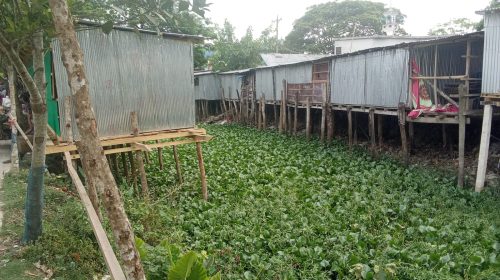 মোরেলগঞ্জে কালিকাবাড়ী বাজারের উপর সরকরী খাল দখল করে অবৈধ স্থাপনা গড়ে উঠেছে