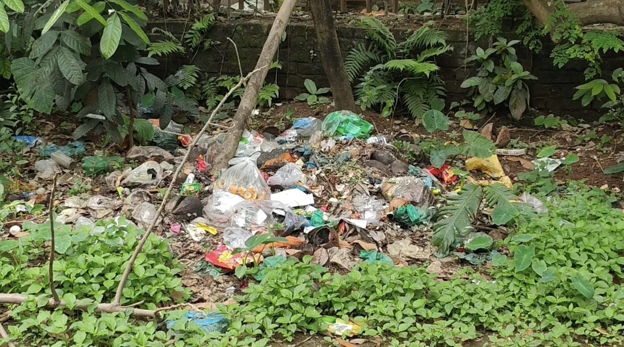 আশুলিয়ায় ডাস্টবিনে ময়লা না ফেলে পরিবেশ দূষণের অভিযোগ