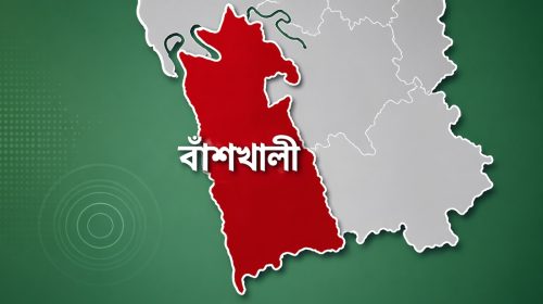 মব সৃষ্টি ও বসতঘরে হামলার অভিযোগ: নিরাপত্তা চেয়ে আদালতের শরণাপন্ন