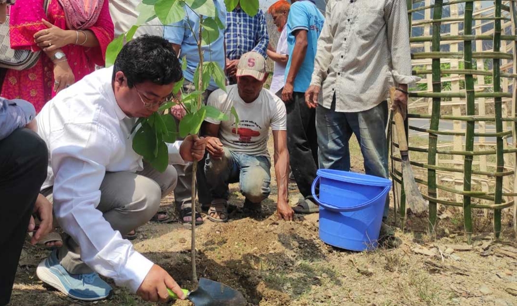রাঙামাটিতে সড়ক ও জনপথ বিভাগের উদ্যোগে ৪১ হাজার চারা রোপণের কর্মসূচি শুরু