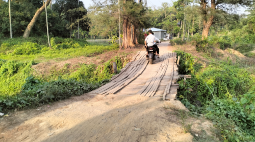 ঝুঁকিপূর্ণ ব্রিজে থমকে গেছে পর্যটন: অবহেলায় পর্যটকশূন্য বাঁশখালী ইকোপার্ক