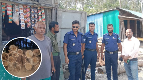 বনদস্যুদের গুলি ছুড়ে প্রতিরোধ, বাঁশখালীতে কাঠসহ ডাম্পার জব্দ