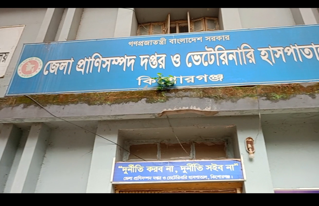 নিয়ন্ত্রণহীন প্রাণিসম্পদ বিভাগ; যেন মেডিসিন রিপ্রেজেন্টেটিভদের বাজার