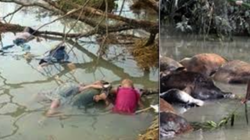 ভয়াল ২৯ এপ্রিল: মৃত্যুর মিছিল দেখেছিল উপকূল, কাঁদে আজও বাঁশখালী