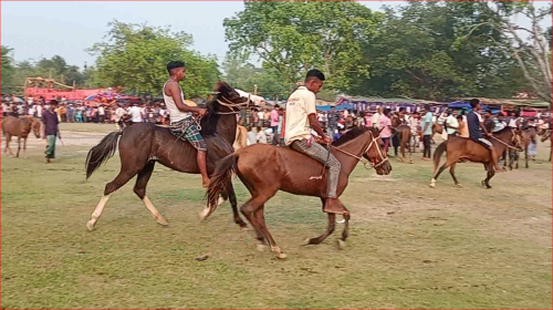 ফুলবাড়ীতে শুরু হয়েছে ঐতিহ্যবাহী বুড়া চিন্তামন ঘোড়ার মেলা