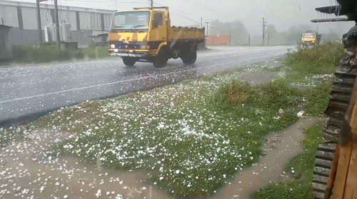 ফুলবাড়ীতে শিলাবৃষ্টিতে ফসলের ব্যাপক ক্ষতি