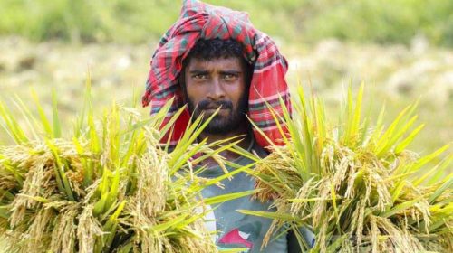 মাথাপিছু জিডিপিতে ভারতকে ছাড়াতে পারে বাংলাদেশ: আইএমএফ