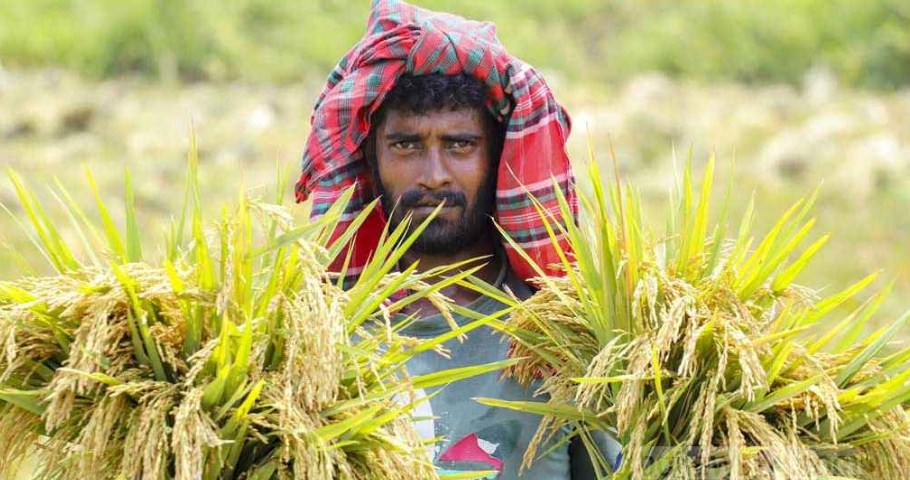 মাথাপিছু জিডিপিতে ভারতকে ছাড়াতে পারে বাংলাদেশ: আইএমএফ
