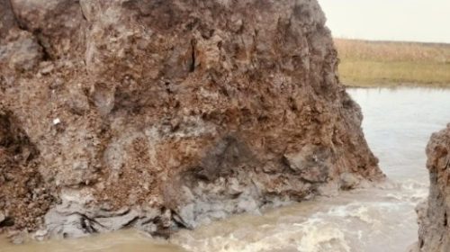 সমন্বয়হীনতা ও অনিয়মের অভিযোগ ভেঙ্গেছে ফসলরক্ষা বাঁধ