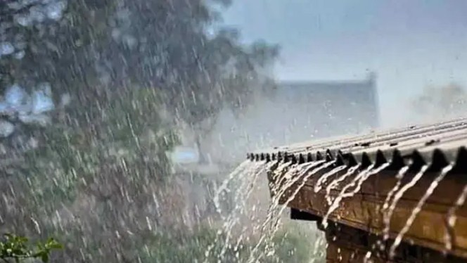 চার বিভাগে ভারী থেকে অতি ভারী বৃষ্টির আভাস, দেশজুড়ে বজ্রসহ বৃষ্টির পূর্বাভাস